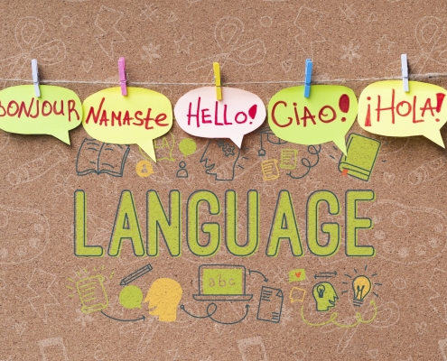 E-Motive Srl: La Tua Soluzione Linguistica